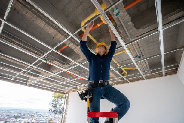Best Local Plumber Services  in Jellico, TN