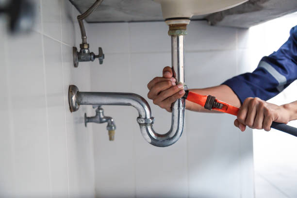 Best Local Plumber Services  in Jellico, TN