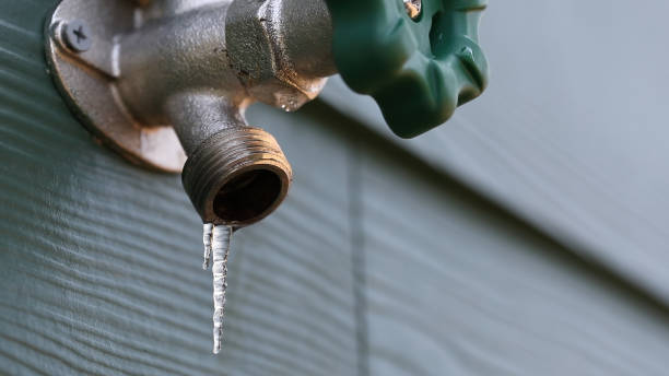 Best Plumbing Repair Near Me  in Jellico, TN